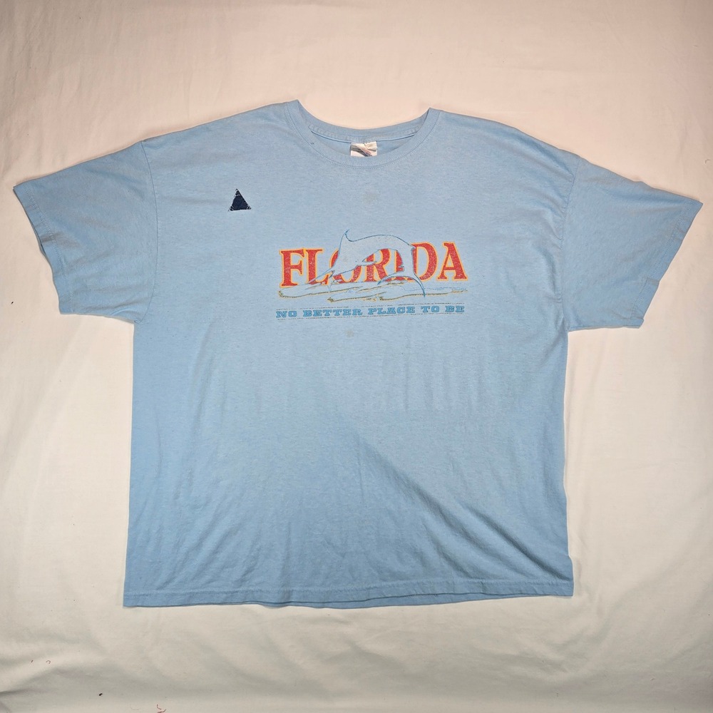Vintage Hanes Florida Dolphin T-Shirt Light Blue 3XL Graphic Tee Distressed